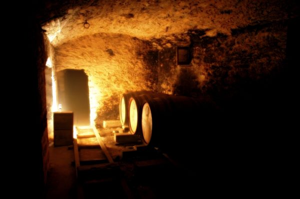 Glass of wine sits in front of maturation casks in underground cellar